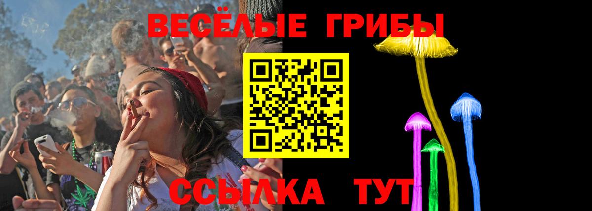 Александров  Псилоцибиновые грибы Magic Shrooms  Вход с VPN 