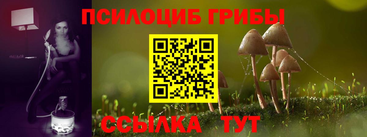 Галлюциногенные грибы мухоморы Александров