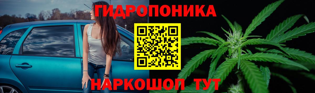Каннабис AK-47  МАРИХУАНА план  Марихуана конопля  Вход с VPN  Александров  МАРИХУАНА SATIVA & INDICA 